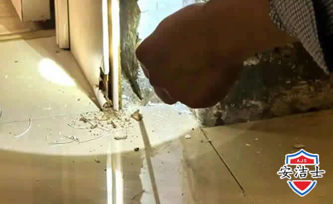 常山房屋建筑防治白蚁