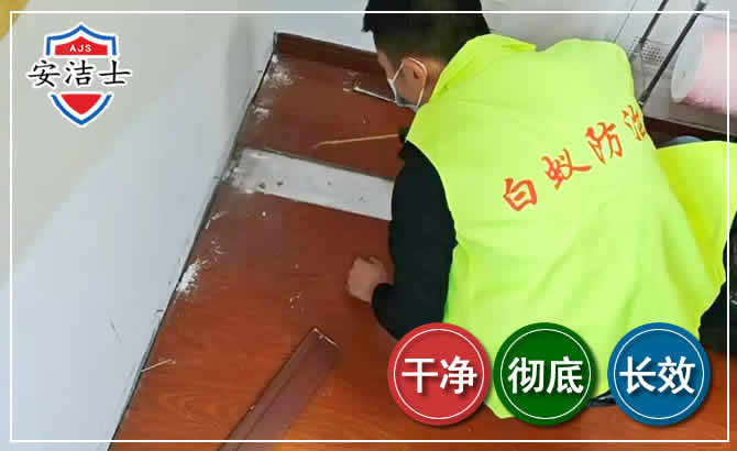 常山除四害现场