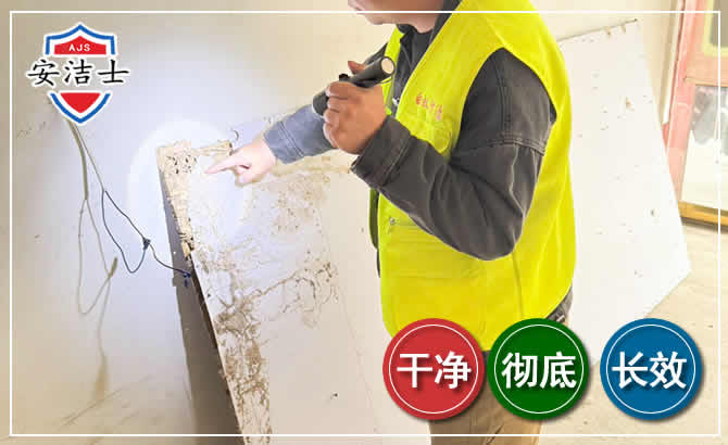 常山除白蚁现场