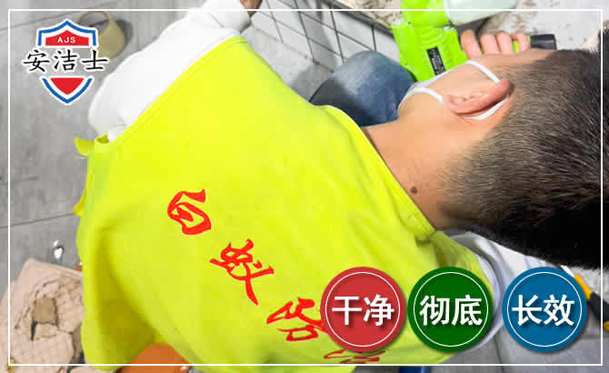 常山白蚁根治现场